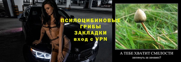 соль ск Алексин