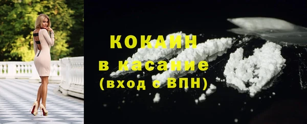 соль ск Алексин
