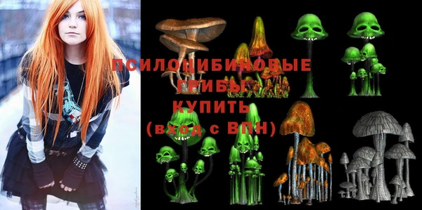 мяу мяу мука Алзамай